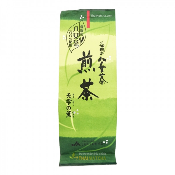 ชาเขียว เซนซะ จากแหล่งปลูกชาที่มีชื่อเสียงของฟุกุโอกะ